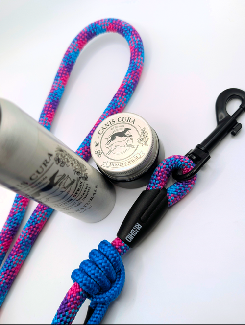 COMPLETE WALKING KIT