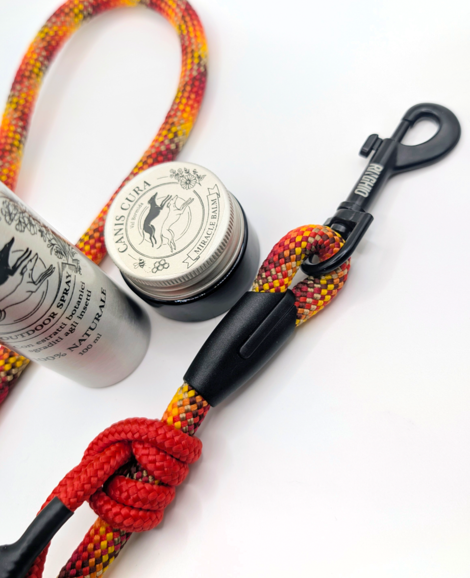 COMPLETE WALKING KIT