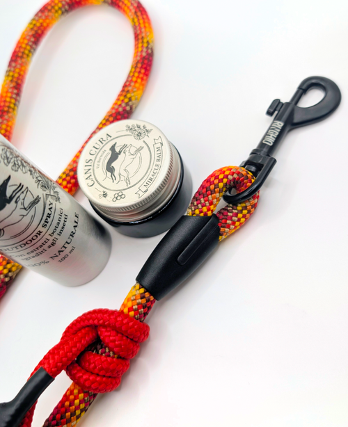 COMPLETE WALKING KIT